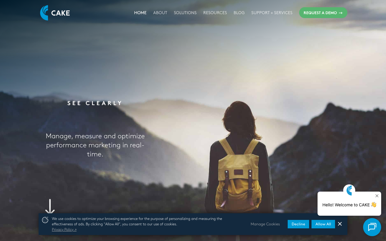 CAKE by Accelerate homepage, performance marketing platform